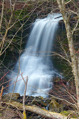 waterfall differentangle bucktailfalls almost3yearsago prebleny spaffordvalley otiscolakearea