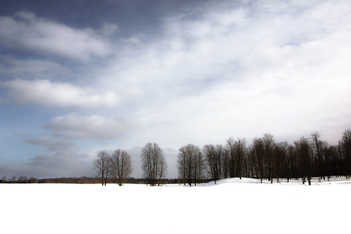 trees winter sky snow cold nature wisconsin clouds forest landscape woods snowfield treeline