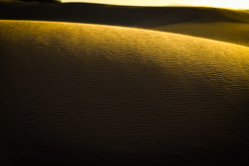 sunset shadow sunlight sahara yellow gold sand photographer desert dune clear countries morocco merzouga hassilabied southernmorocco meknestafilalet fotonhhs photomortenfalchsortland