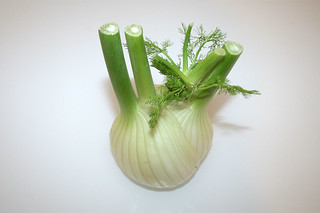 01 - Zutat Fenchel / Ingredient fennel