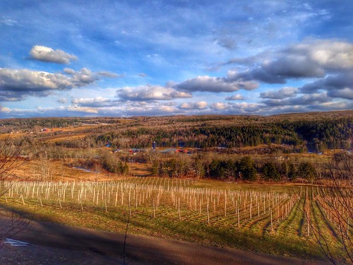 nova vineyard ns 5 valley annapolis scotia hdr iphone gaspereau snapseed uploaded:by=flickrmobile flickriosapp:filter=nofilter