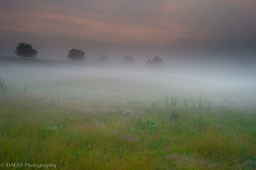 morning nature fog rural sunrise countryside outdoor pennsylvania farm country foggy serene pastoral bucolic