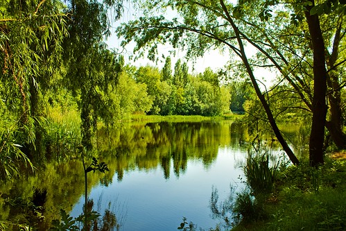 river bedford wildlife bedfordshire felton countrypark lumen greatouse priorycountrypark robertfelton riversidepond