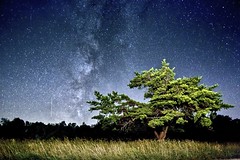 The Milky Way on a clear night in Big Meadows, Virginia
