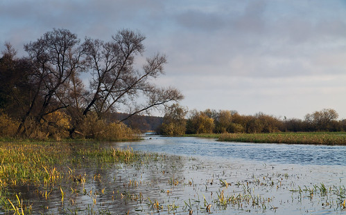 autumn canon river poland valley marsh bog flooded biebrza podlaskie 50d burzyn