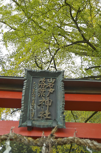 【写真】2013 紅葉 : 岩戸落葉神社/2020-11-23/IMGP3033