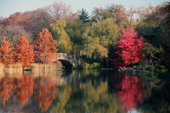 Central Park in the autumn