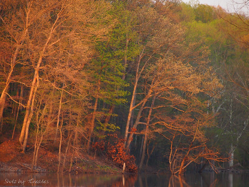 autumn trees usa fall nature water reflections unitedstates indiana cataract cataractfalls ilobsterit
