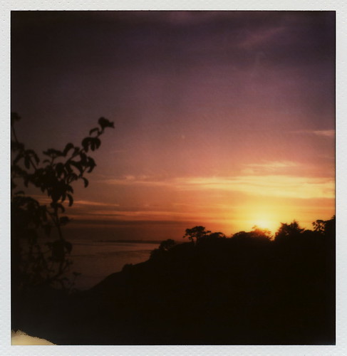 ocean california santa ca trees sunset toby cliff sun color tree film leaves silhouette project polaroid sx70 for drive spring bush branch pacific may barbara tip cameras type instant week sonar hancock reject impossible roid the 2014 polaroidweek impossibleproject tobyhancock impossaroid