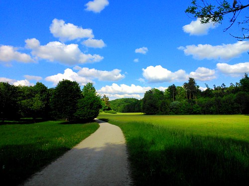 summer green path meadow ansbach