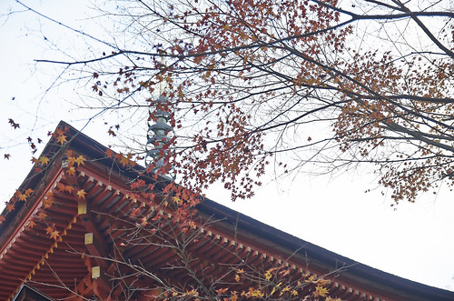 【写真】2013 紅葉 : 浄瑠璃寺/2021-02-15/IMGP3547