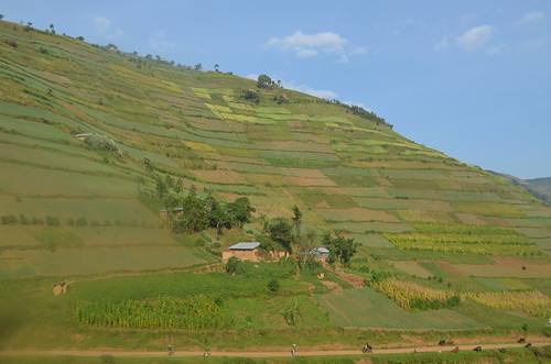 africa landscape scenery uganda kabale eastafrica kisoro southwesternuganda westernuganda