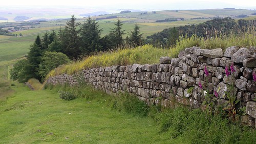 Circular walk from Causeway House to Housestads Fort, along the wall to Once Brewed and back