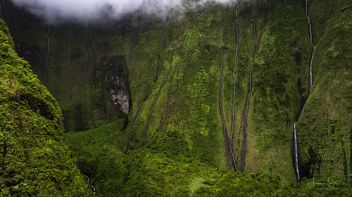 jungle kauai caldera amazing nature water day volcano trees summer wideangle tree peak canonef2470mmf28liiusm pacific view usa weepingwall 24mm handheld stunning overcast canoneos6d magnificent majestical naturephotography paradise daylight hawaii colorful scenery beautiful river forest moutwaialeale mountain rainforest green amateurphotography waterfall wilderness singleshot