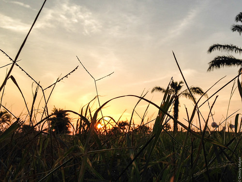 sunset nature landscape view malaysia sepang selangor iphone
