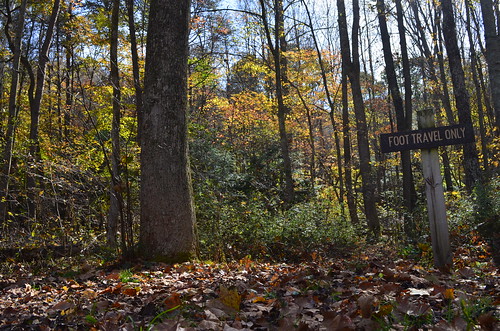 autumn trees ohio fall colors trail