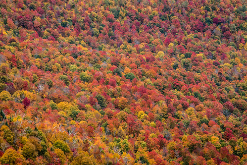 canada quebec estrie mont orford automne couleurs colors automn magog