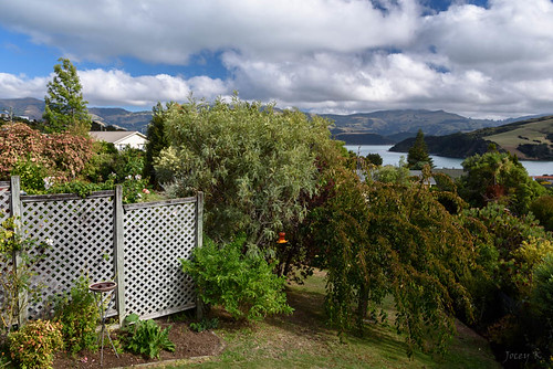 newzealand southisland canterbury bankspeninsul akaora clouds sky hills houses plants garden trees akaoraharbour