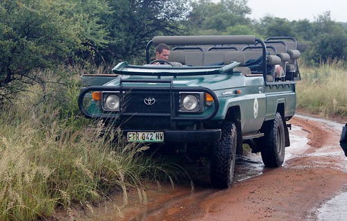 holiday southafrica holidays safari johannesburg mzikigamelodge