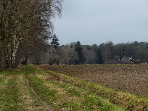 holland netherlands farmhouse rural landscape nederland achterhoek winterswijk landschap boerderij gelderland landelijk ratum panasonicdmcfz150 1140407
