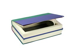 Harry Potter Double Stack Hollow Book