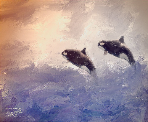 Image of Whales Jumping in Ocean