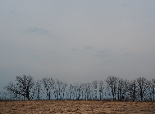landscape trees sky columbus ohio field grass sony alpha a6000 minolta rokkor