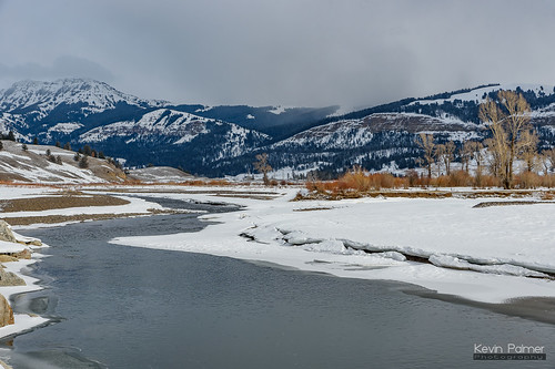 yellowstone nationalpark yellowstonenationalpark wyoming lamarvalley afternoon winter february cold snow snowy white clouds cloudy overcast tamron2470mmf28 nikond750 lamarriver water flowing ice icy sodabuttecreek