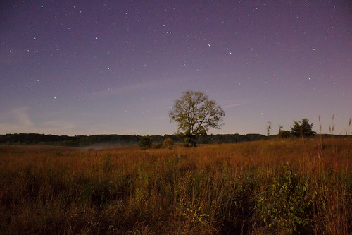minnesota stars nighttime prairie kasota