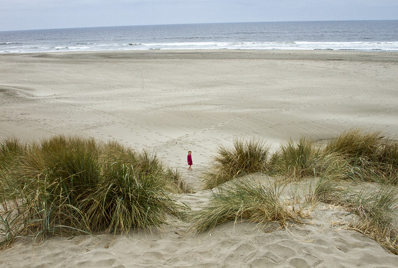 Life in Dunes