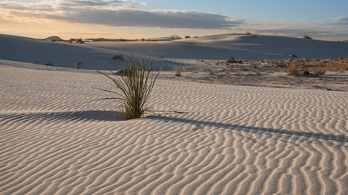 newmexico sunrise march nationalpark desert whitesanddunes alamorgordo
