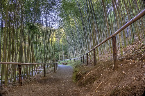 california garden raw path saratoga bamboo fav30 hdr hakonegardens 3xp photomatix bamboogarden nex6 selp1650