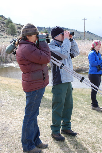 (L-R) Joey Russell, a wildlife artist and the president of the Audubon Society’s Mt. Shasta Chapter and Klamath National Forest staff Greg Berner and Lauren McChesney look at waterfowl on Bass Lake of the Shasta Valley Wildlife Area.  (U.S. Forest Service/Sam Cuenca)