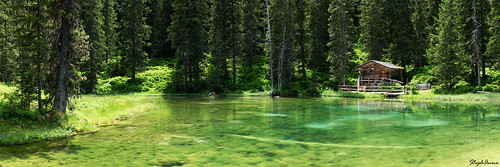panorama lake green forest see pond fishermen cottage hütte lac vert chalet grün teich wald forêt cabane étang gouille blaueglungge