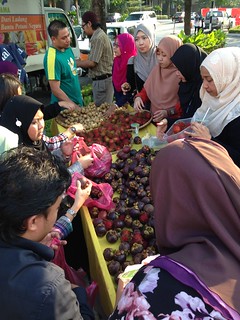 Local Fruit Fest