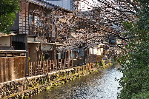 【写真】2013 桜 : 祇園白川/2021-01-19/IMGP8742