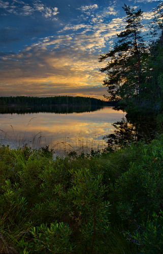 ocean trees light sunset sea summer sky sun lake color reflection tree green nature water beautiful grass yellow vertical night clouds forest river season landscape outdoors woods europe sweden sony scenic nobody calm shore land wilderness scandinavia hdr a77 nort relaxtion östergötlandcounty