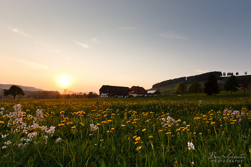flowers sunset farm gras alp schwarzwald blackforrest ef1635mmf28liiusm canoneos5dmarkii benschroeter