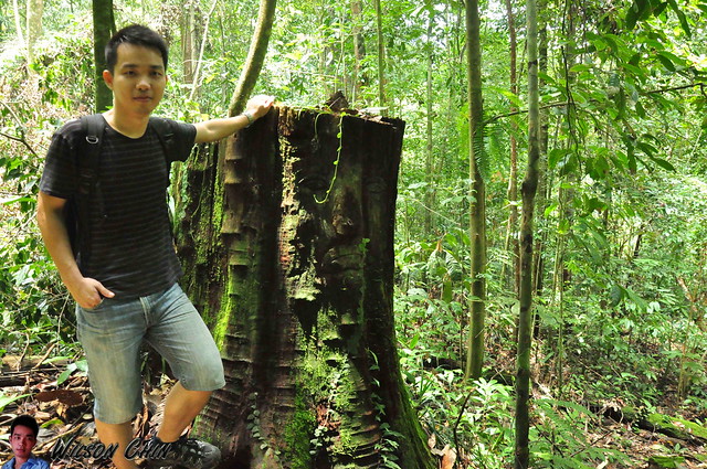 tree sculpture and Wilson Chin (me)