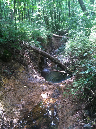 Image of Clearspring Manor Stream