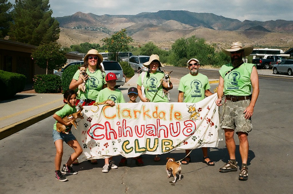 Clarkdale Chihuahua Club, pre-parade.