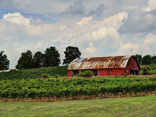 barn georgia vineyard winery dahlonega grapevines