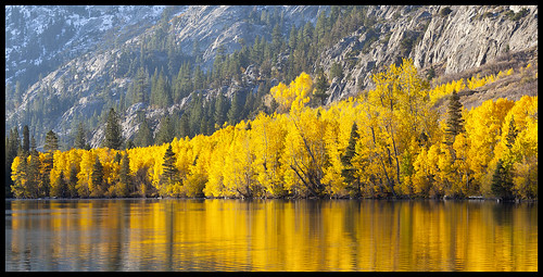 california trees mountains canon fallcolor silverlake aspen junelake easternsierras ef70200mmf4lisusm 5dmkii