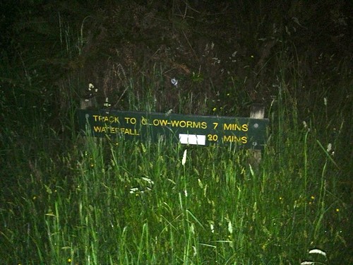 the hard-to-find sign marking the glow worm trail in Dunedin