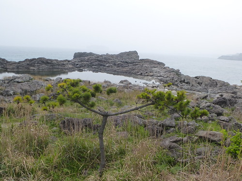 Co-Jejudo-Seogwipo-Port-Saeseom (26)