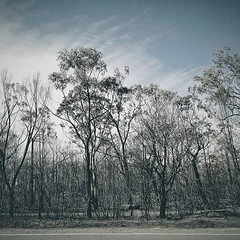 Hawkesbury road #bushfire