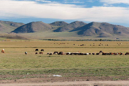 mongolia mongolei tsetserleg archangai