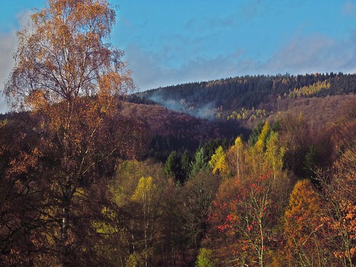 autumn nature germany landscape deutschland thüringen d herbst thuringia thüringerwald suhl albrechts urlaubsregionthüringerwald