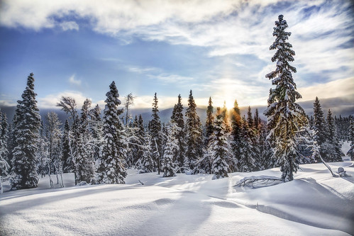 morning trees winter snow tree lines norway clouds sunrise landscape shadows peaceful sunrays hdr highdynamicrange trysil leadinglines caughtinpixels jacobsurland