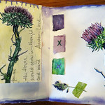 LavenderSage Art Retreat students sharing their journals